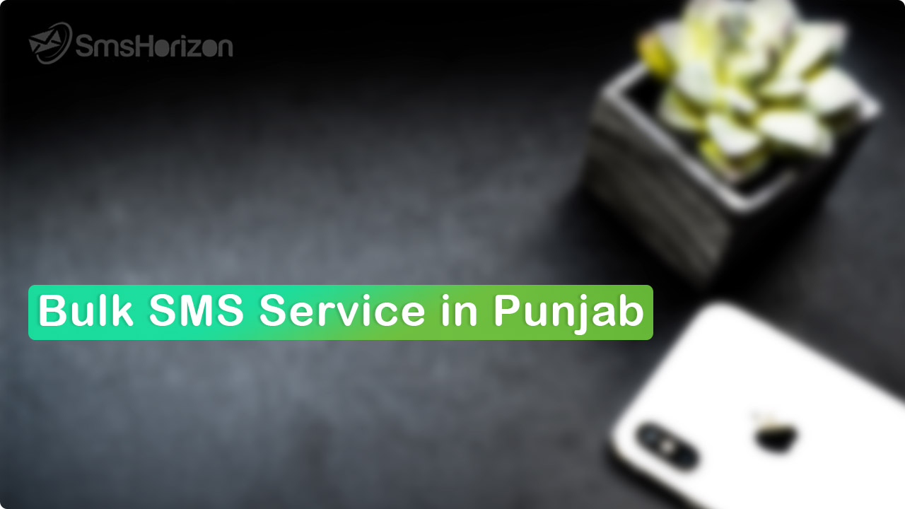 Bulk SMS service provider in Punjab - SmsHorizon
